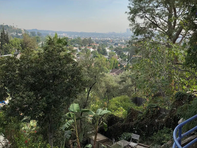 View from the Decks