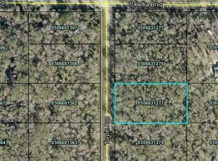 10620 TURPIN Avenue, Hastings, FL 32145