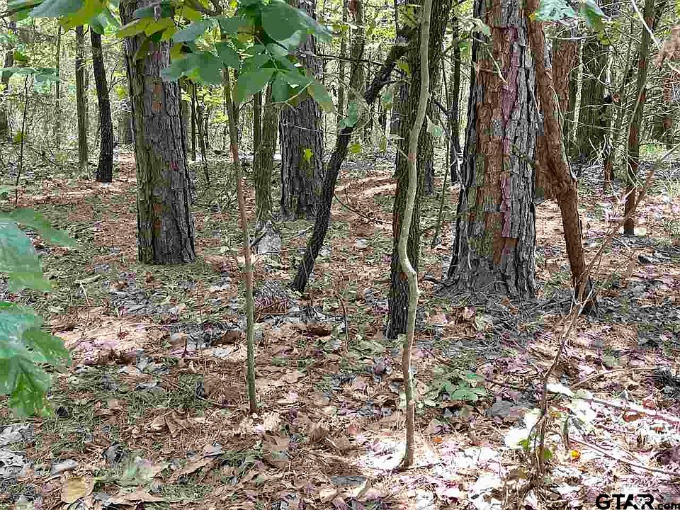 1st image of County Road 2450