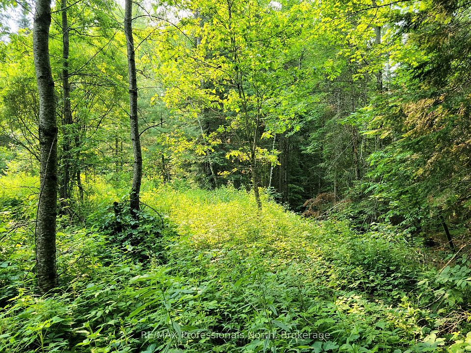 2nd image of 35 Mount Vernon Trl #26