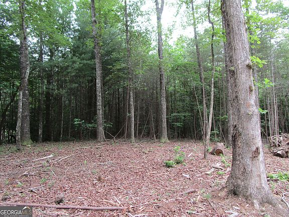 4th image of 0 E New Hope Rd Tract A