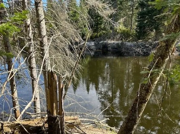 0 County Road 503, Minden Hills, ON K0M 2A1