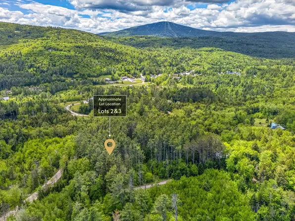 0 Wall Street Lot 2 & 3, Winhall, VT 05340