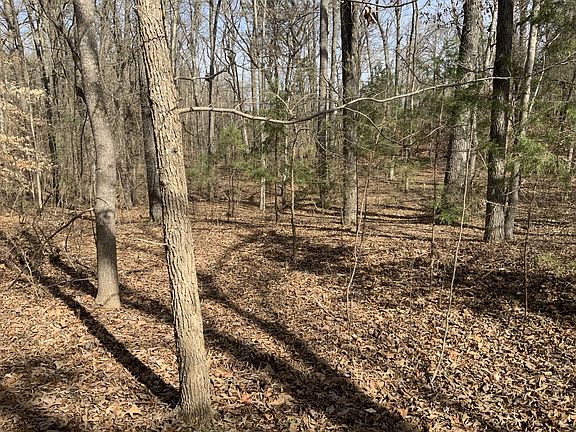 4th image of 0 Brittan Ln Lot 37
