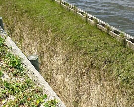 Double seawall