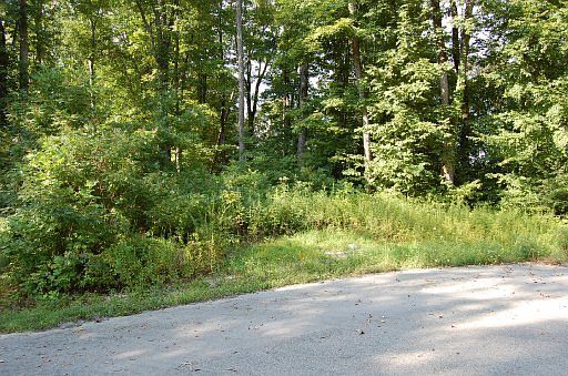 1st image of Eagle Ct