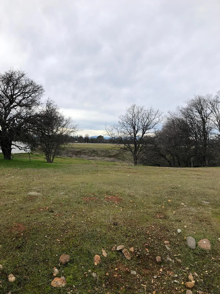 19503 Sweet Brier Pl photo 1