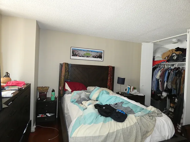 10 E Ontario St #1710 — Photo 16