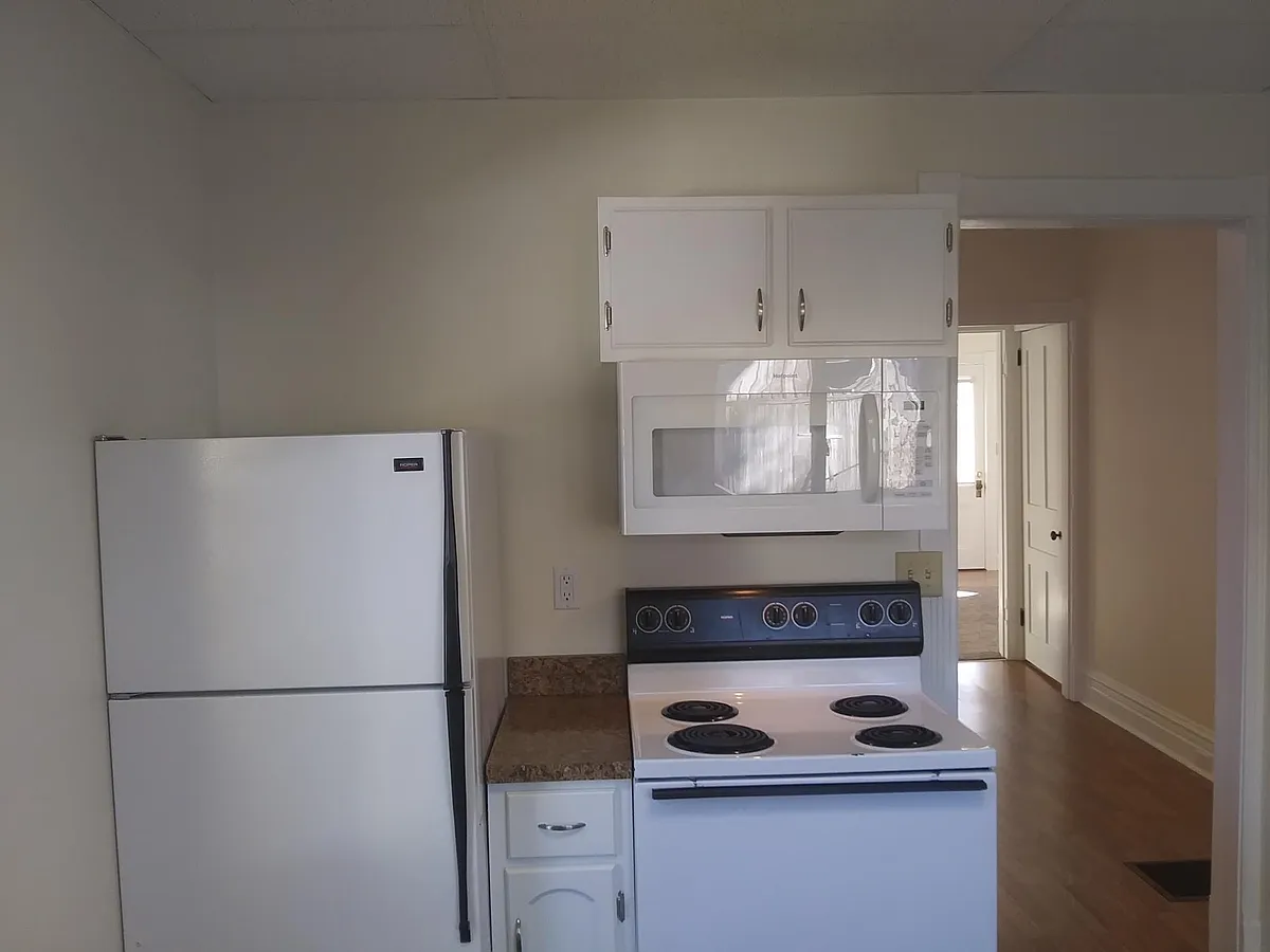 Building Photo - 205 E Pine St #1