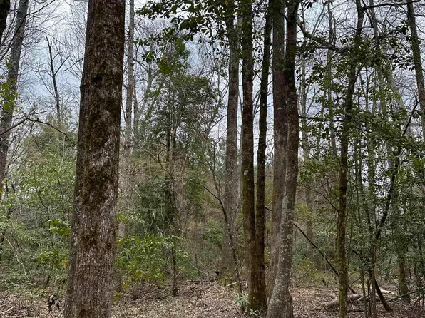 (undisclosed Address), Waldo, AR 71770