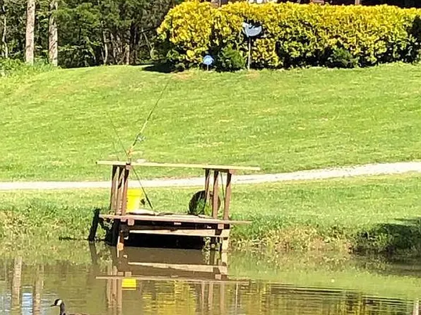 16031 Old Highway 76, Morganton, GA 30560