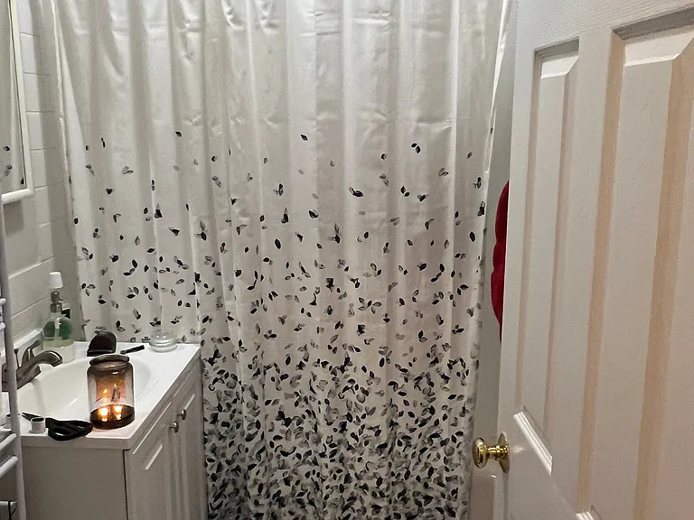 9 Fairfield St #8 — Photo 4