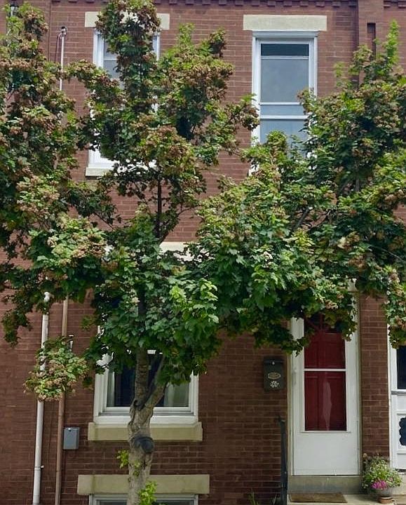 1st image of 627 Miller St