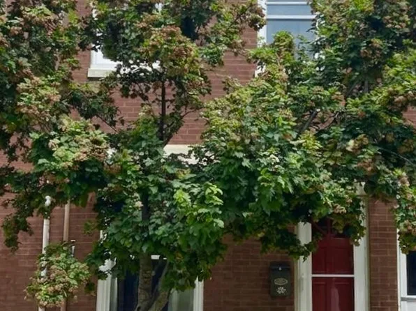627 Miller St, Philadelphia, PA 19125