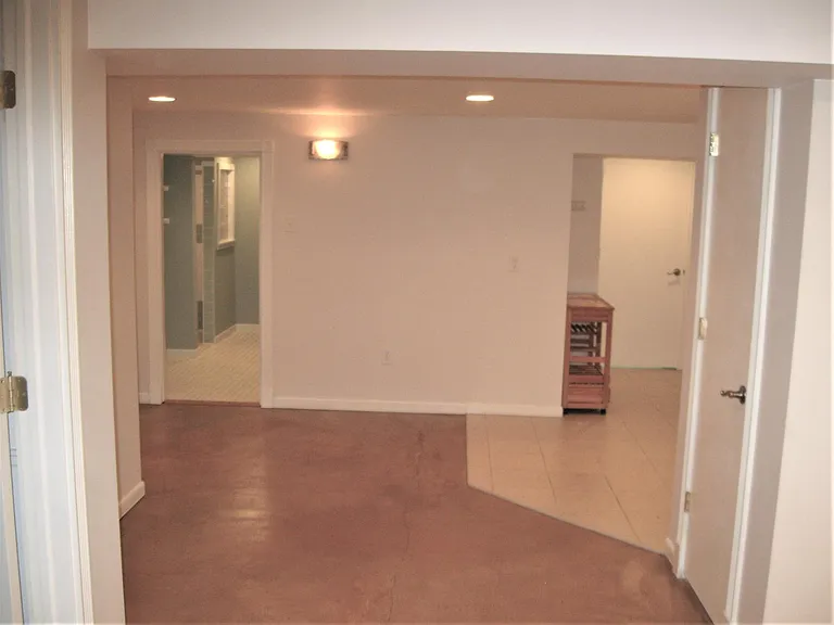Flowing open area with door at right to a deep, large closet underneath stairs.