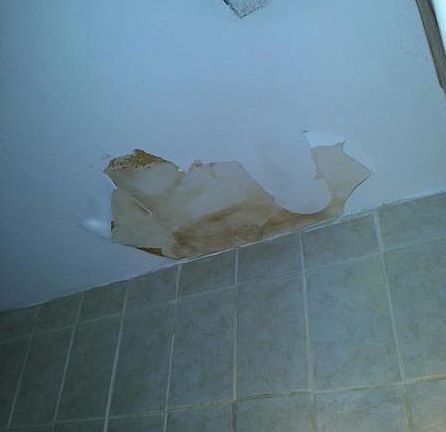 5th image of 1798 NW 51st St