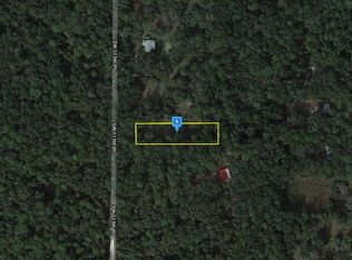 11867 SW 60th St, Webster, FL 33597