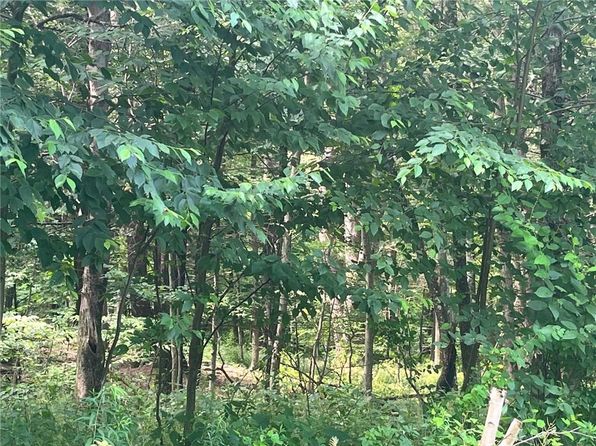  Mount Ross, Pine Plains, NY 12567