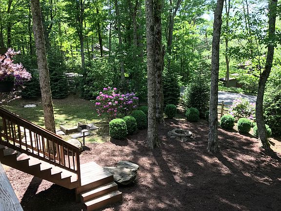Back yard