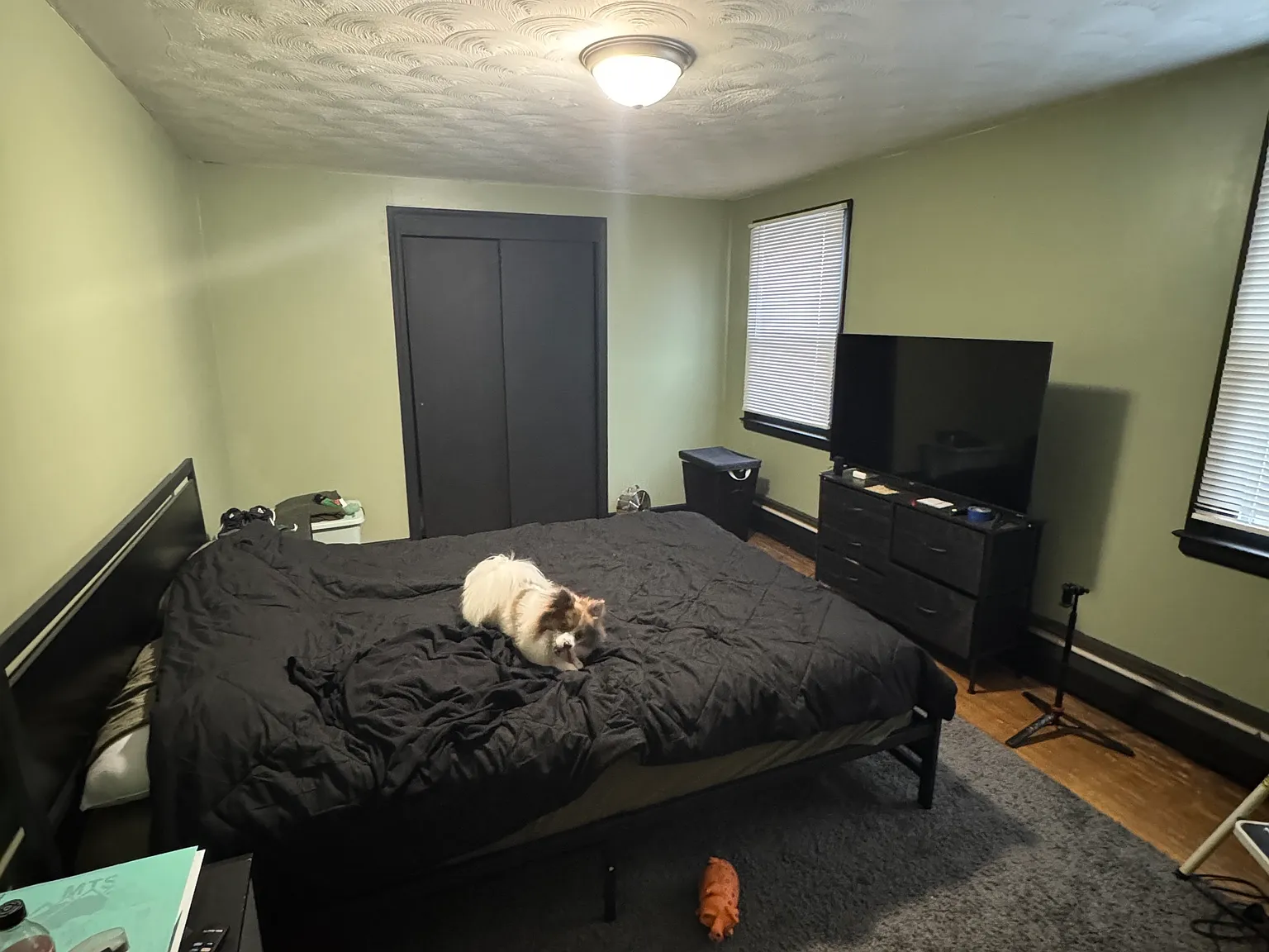 2 bed, $1,650 — Photo 4