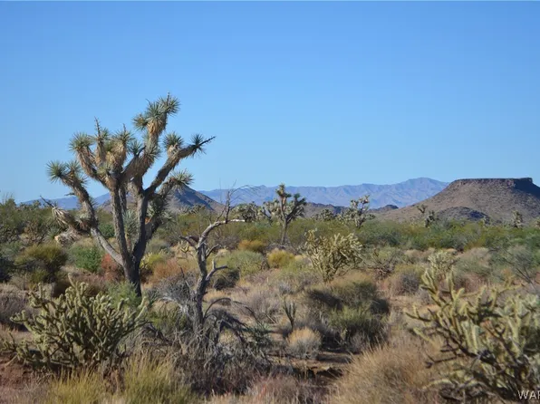 Lots 9 & 10 Martin Dr, Yucca, AZ 86438