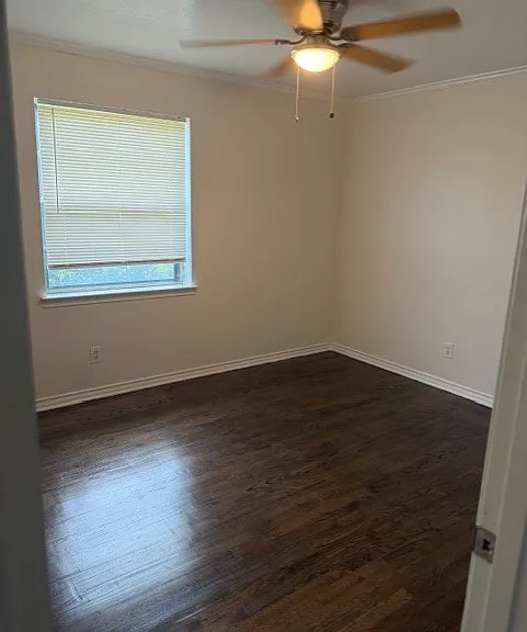 1303 Cypress Dr — Photo 9