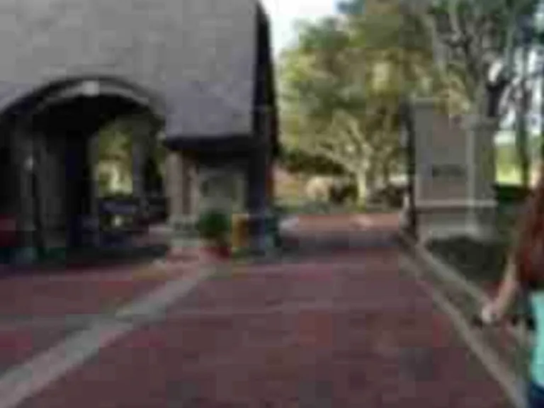 Hamptoncrest 201 Cir — Photo 20