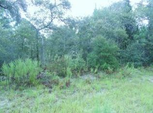8377 N Linwood Loop, Citrus Springs, FL 34433