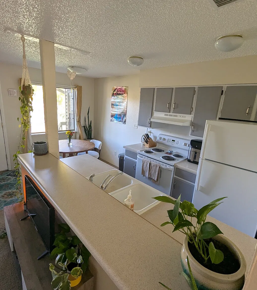 1 bed, 576 sqft, $1,450 — Photo 1