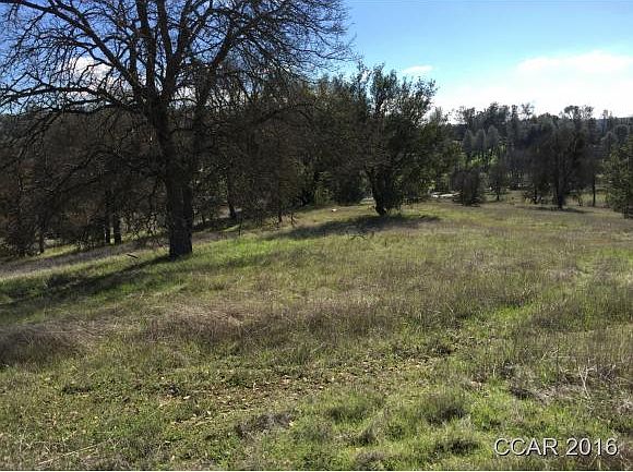 2nd image of 2208 Buffalo Way #978