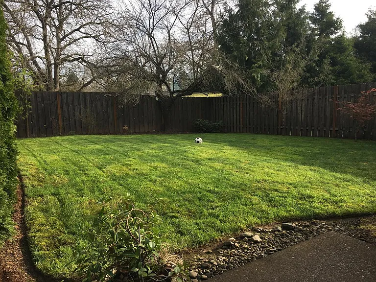Large & private backyard w/plum tree. All landscaping incl.