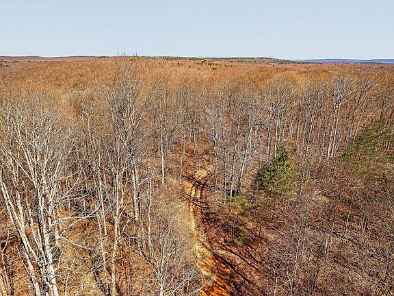 4th image of 253 Highway 27 Daus Mountain Rd