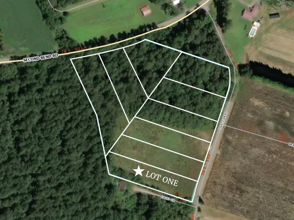 LOT 1 Dantzler Rd, Harleyville, SC 29448