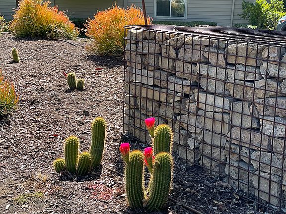 Native landscaping