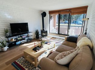 413 Vine St #413, Aspen, CO 81611