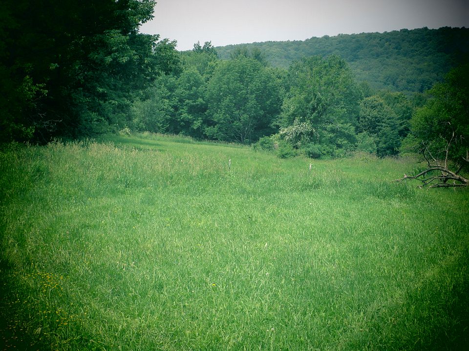 2nd image of 1040 Wagner Road