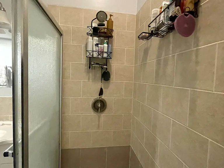 Walk-in shower.