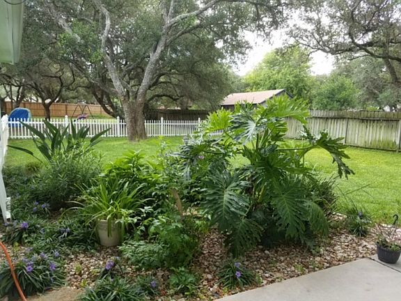 House - Back Porch/Yard