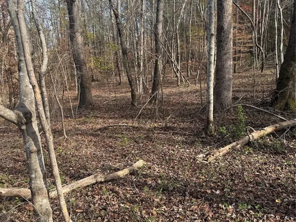 0 Rash Rd, Lincolnton, NC 28092