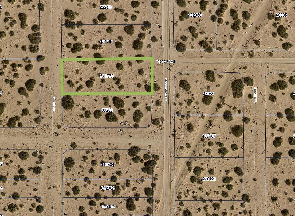 2nd image of Pn 341779 Ollie St