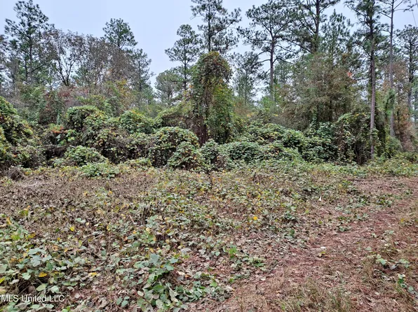1 Acre Hwy #612, Lucedale, MS 39452