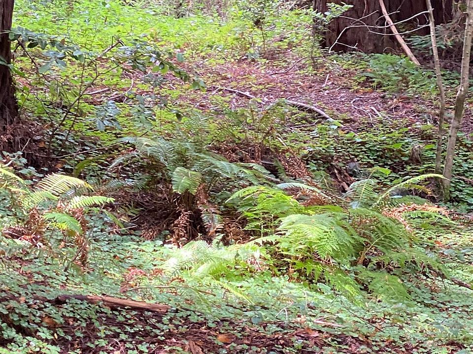 1545 Cazadero Hwy, Cazadero, CA 95421 MLS 323925331 Zillow