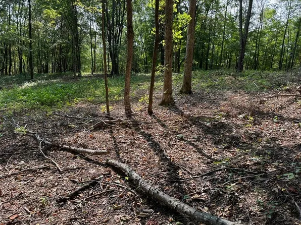 0 Primm Springs Rd, Williamsport, TN 38487