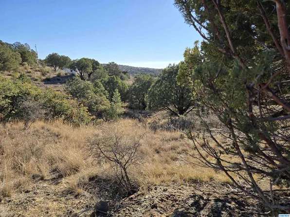 Xx Cottonwood Rd, Silver City, NM 88061