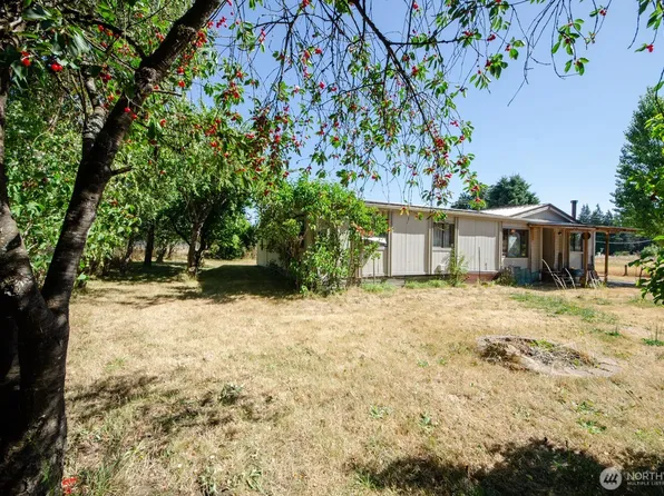9015 183rd Avenue SW, Rochester, WA 98579