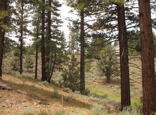 65 Lava Cap, Markleeville, CA 96120