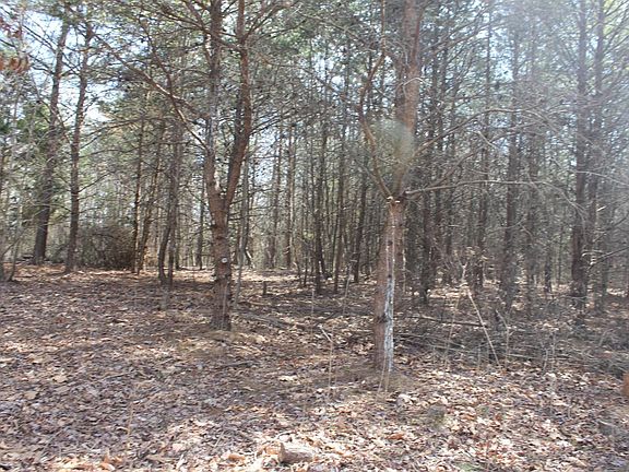 5th image of 0 Summerset Rd