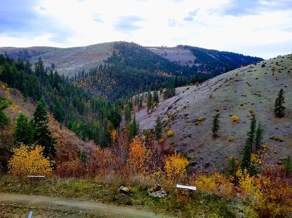 161 W Lightning Loop Rd, Stites, ID 83552