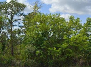 486 Kulwicki Dr LOT 43, Venus, FL 33960