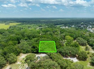 0 SW 141st Pl TRACT 69, Dunnellon, FL 34432
